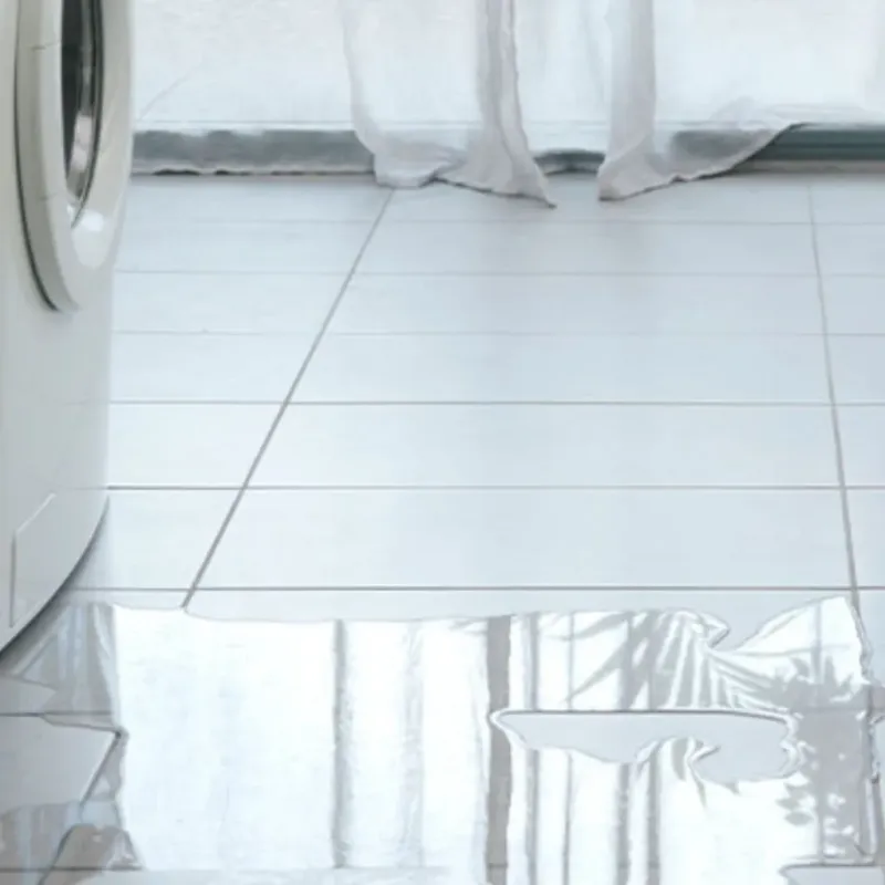 Appliance Leak Cleanup in Cheyenne, OK