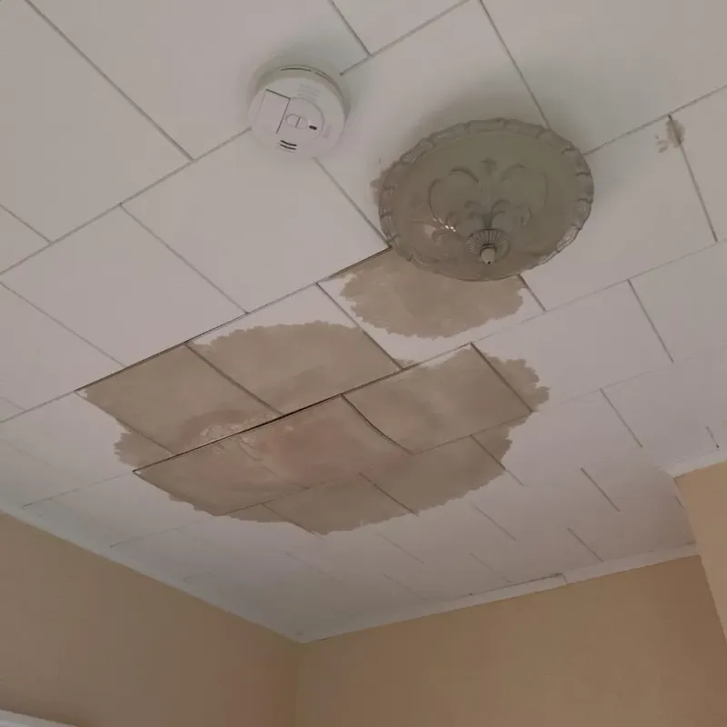 Ceiling Water Damage Repair in Cheyenne, OK
