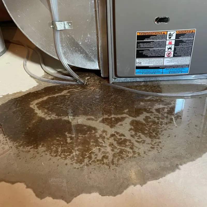 Pipe Burst and Leak Restoration in Cheyenne, OK