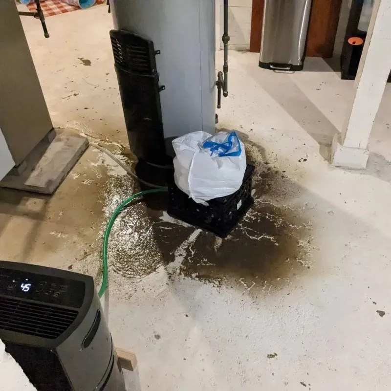Sewage Backup Cleanup Service in Cheyenne, OK
